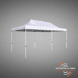 Tonnelle 3x6 m