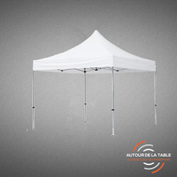 Tonnelle 4x4 m