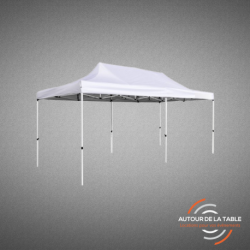 Tonnelle 4x8 m